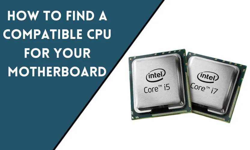 How to Find a Compatible CPU for Your Motherboard?